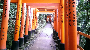 Fushimi Inari Shrine (4)-434